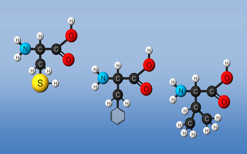 Cấu trúc axit amin