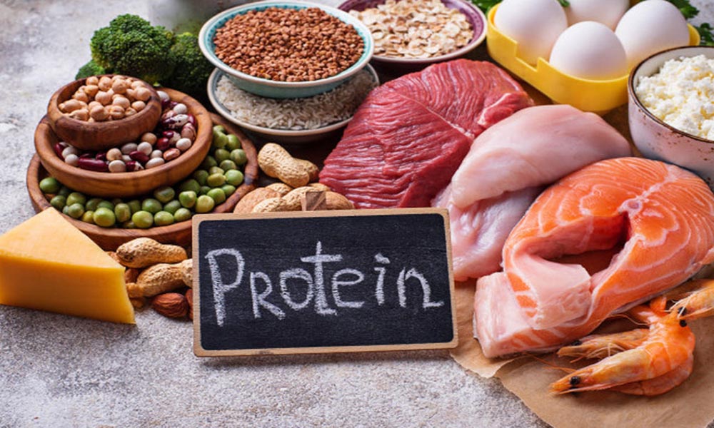 Cung cấp đủ protein
